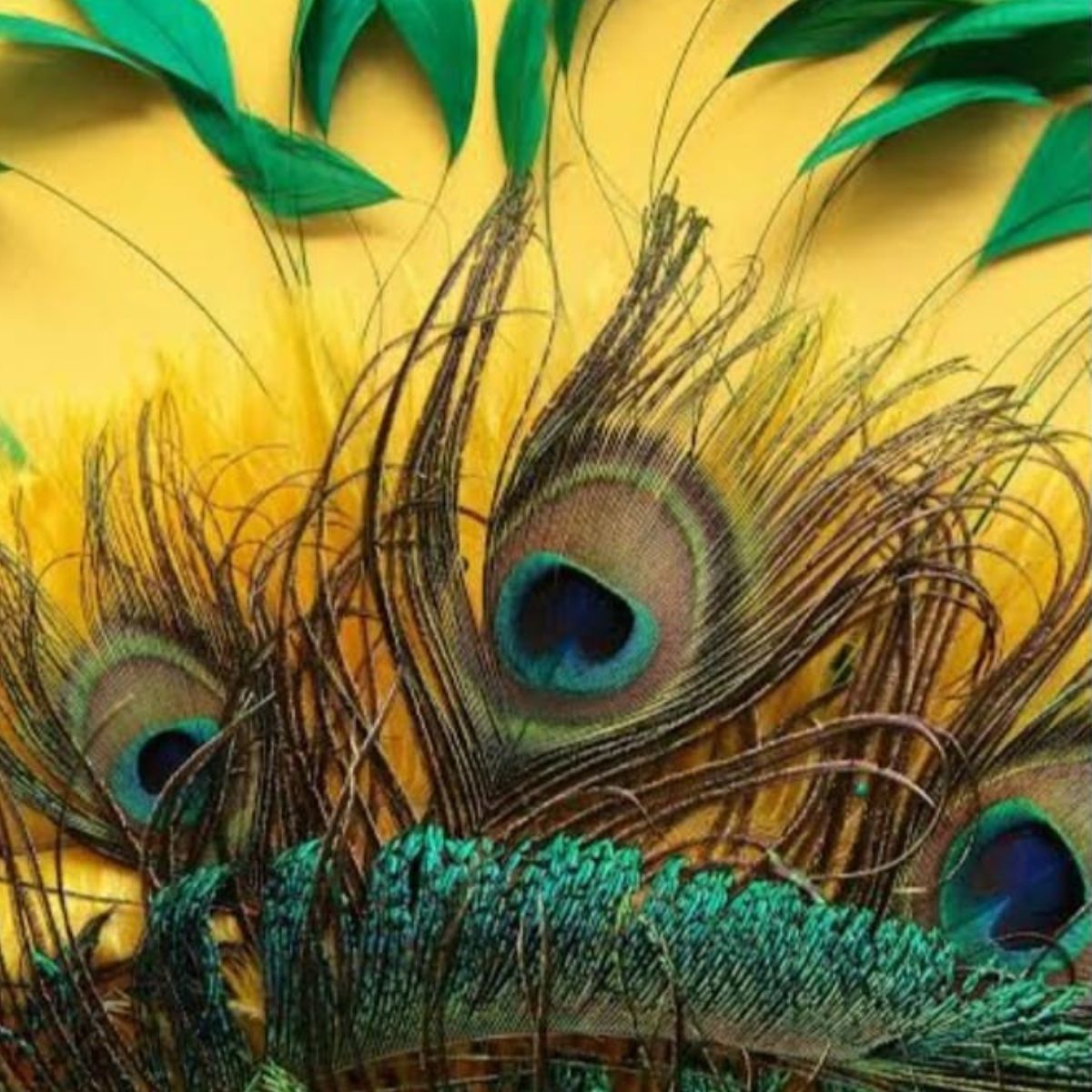 3-Dimensional Wallpapers