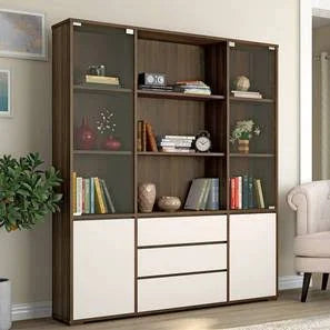 Display Book Rack with Glass Shutters – Furniture Redefined
